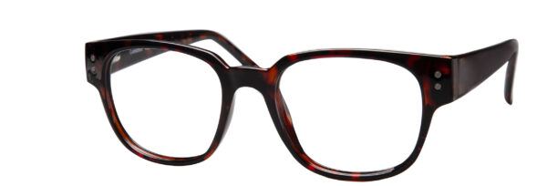 Eyestyle 4521